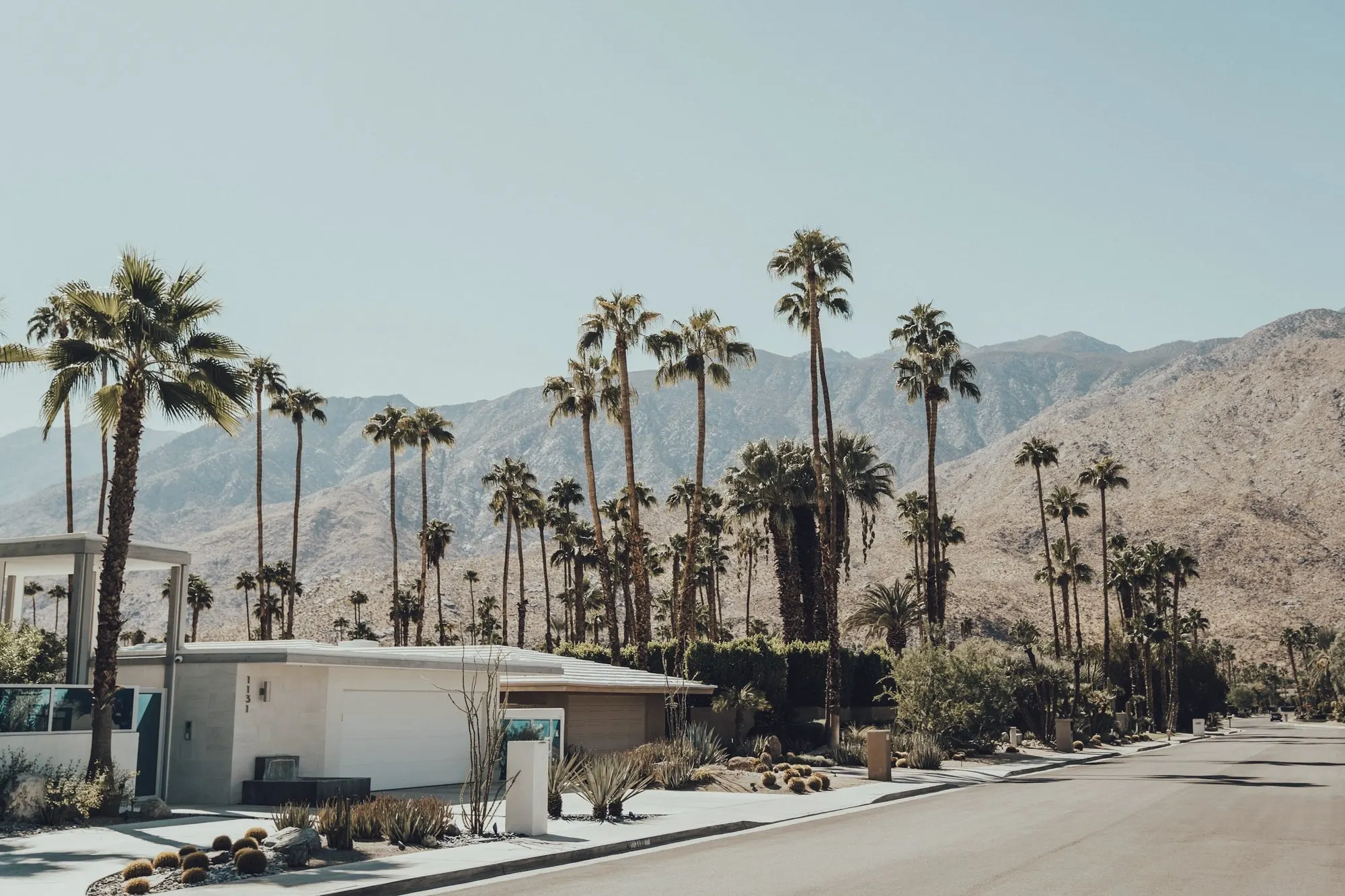 A palm-lined residential street in Palm Springs with desert mountains behind.