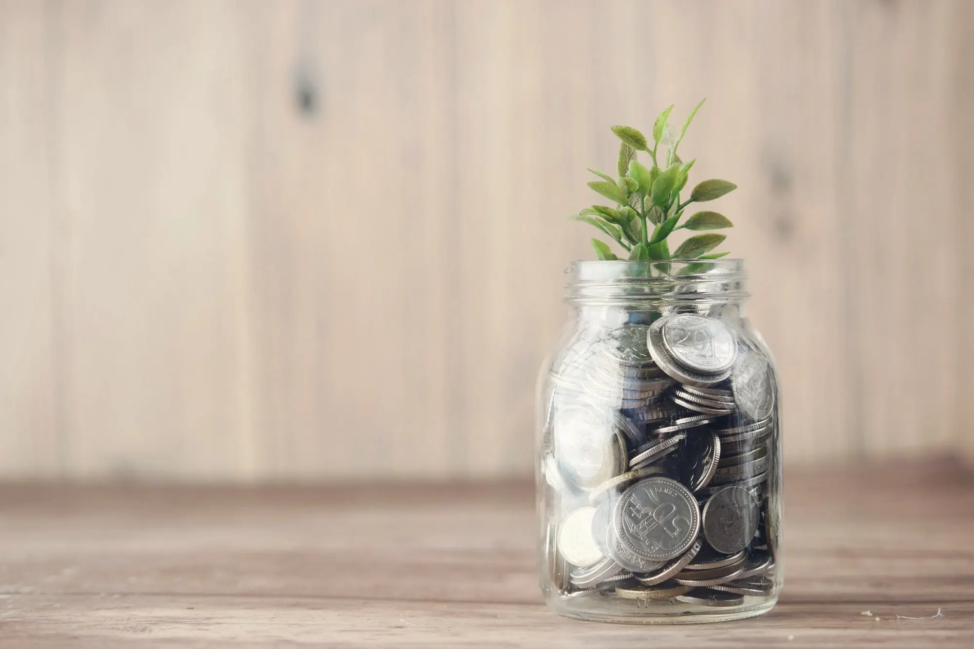 A small glass jar filled with coins holds a green seedling on a wooden table.