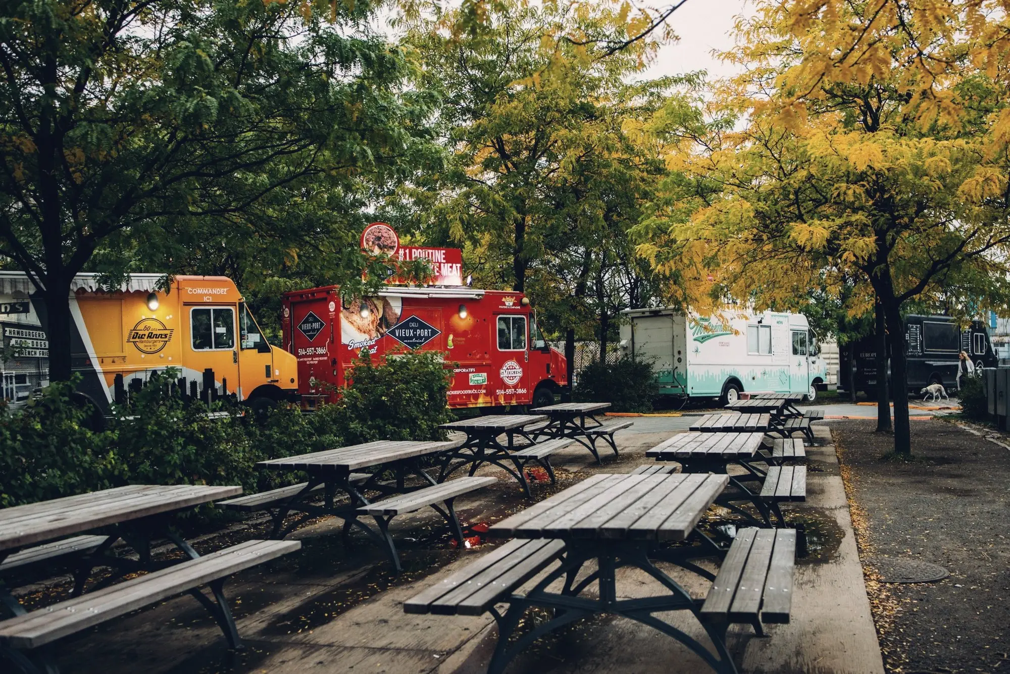 Food trucks parked beside picnic tables in a tree-lined lot.